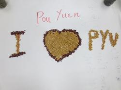 Quản lý lưu trình chuyên án - Pou Yuen (10.01.2019)